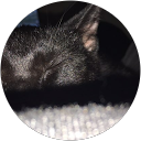 haydn durocher profile picture